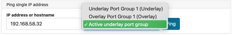 Ping a single IP address section of Check Connectivity