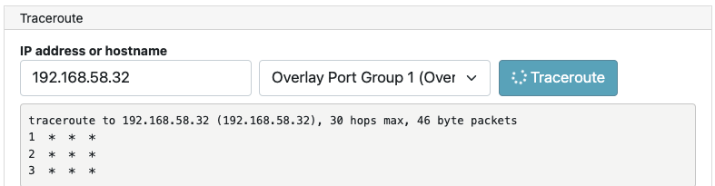 Traceroute section of Check Connectivity