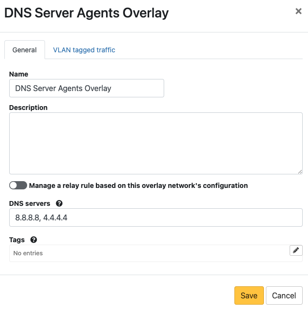 Set the DNS Server for Airwall Agents and Servers on an overlay