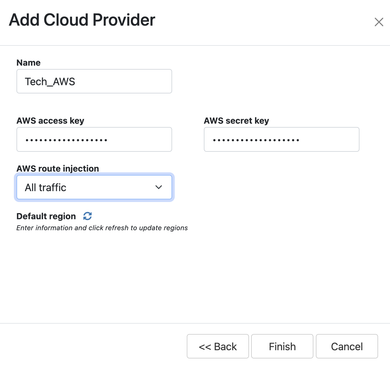 Enter cloud credentials and select options on the Add cloud provider page